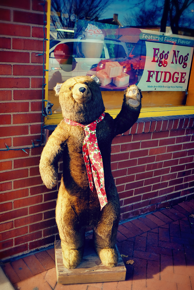 teddy_bear_frederick_fudge
